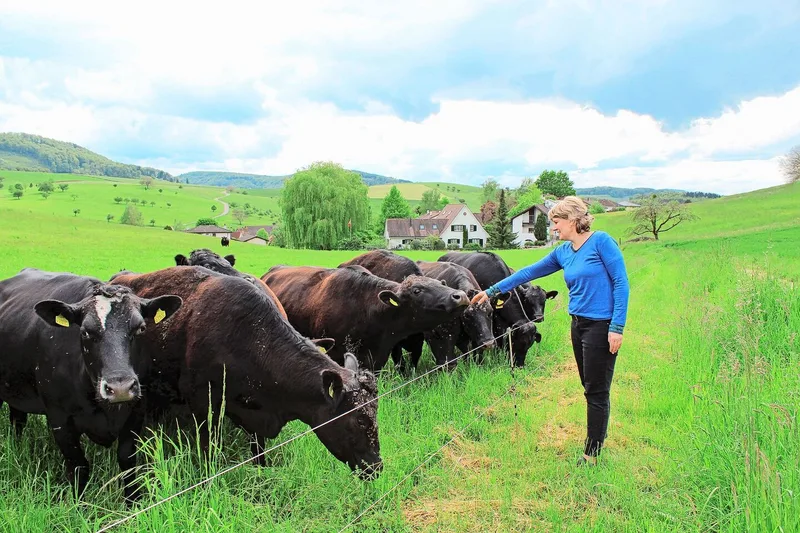 Zum Hof gehört eine Herde Angus-Rinder. Das Fleisch der Tiere vermarktet die Familie Wirth direkt.
