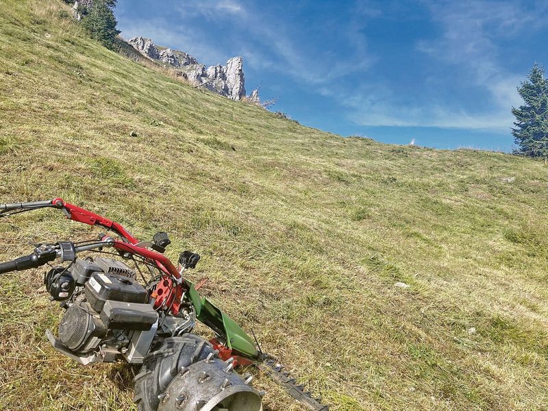 Im steilen Gelände oberhalb der Waldgrenze wird Bergheu eingebracht.