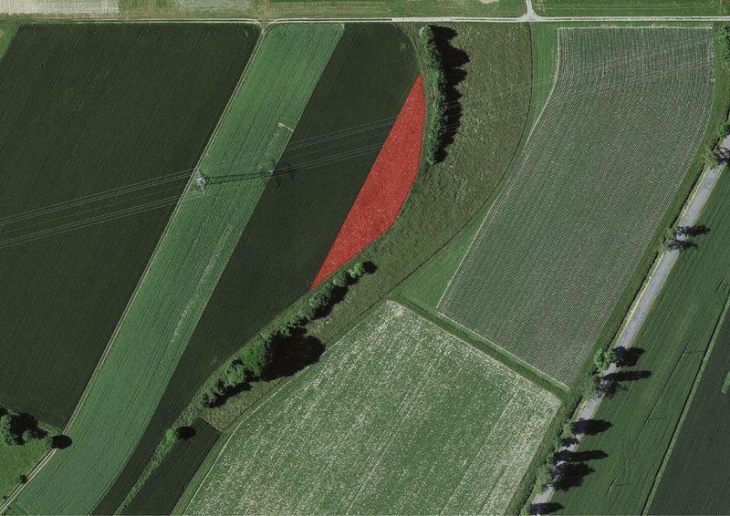 Mit dieser Buntbrache wurde die Parzelle begradigt.