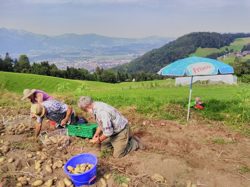 Der Schalleberghof bietet kulinarische Erlebnisse direkt an der Quelle
