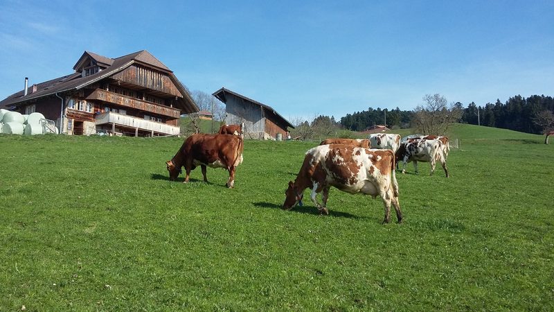 Der Schalleberghof bietet kulinarische Erlebnisse direkt an der Quelle