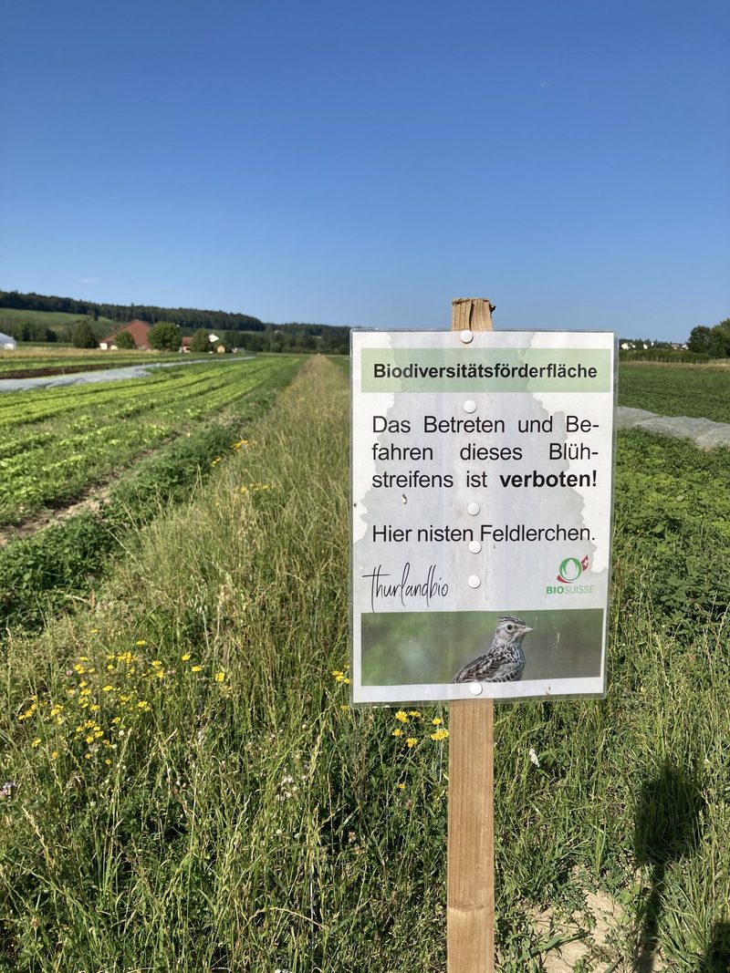 Der Tännlihof – wo Ingwer und Physalis nebeneinander gedeihen