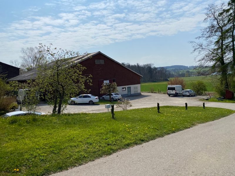 Marius und Oliver Brupbacher sind Schweizer Mandelpioniere