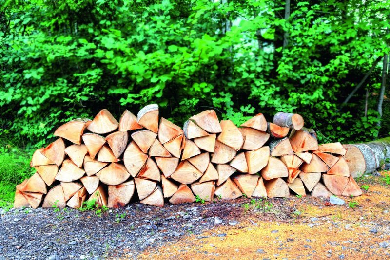 Brennholz kann einträglich sein – aktuell ist es sehr gefragt