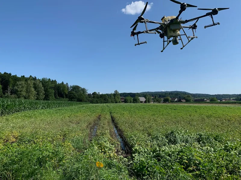 Wenn der Boden unbefahrbar ist, schützt die Drohne Kartoffeln vor der Kraut- und Knollenfäule