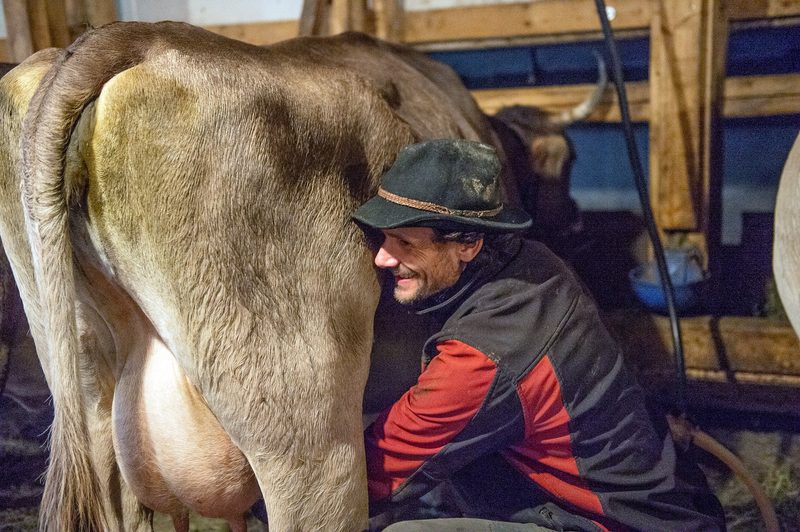 «So schlecht wie jetzt sehe ich seit gestern», sagt Biobauer Donat Capaul über sein noch vorhandenes Augenlicht