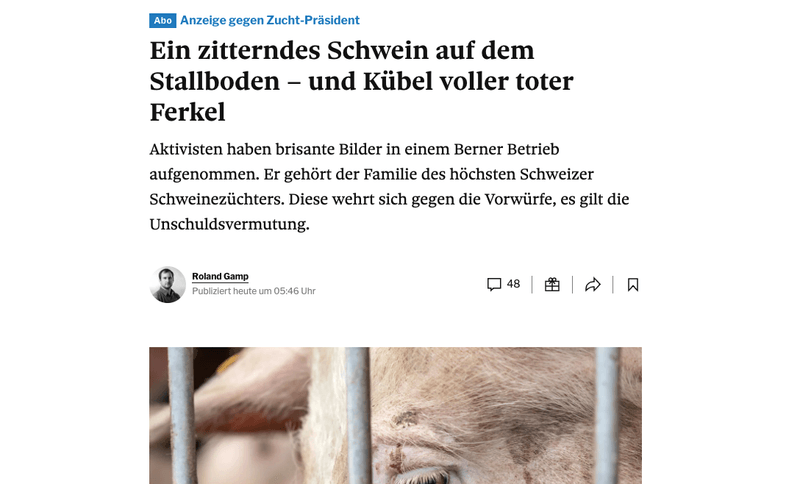Vorwürfe gegen Suisseporcs-Präsident: Wahlkampf mit dem Brecheisen
