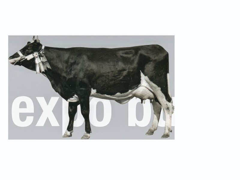 Sie gewann die erste Holsteinschau an der Expo Bulle im Jahr 1971: Jonquille von Gilbert Barras, Romanens FR.