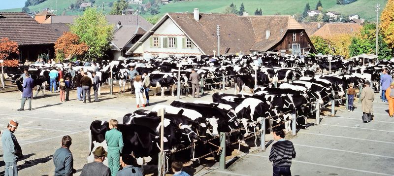 Die Jahrhundertversteigerung im Jahr 1982: der ganze Bestand von Oscar Dupasquier aus Bulle.