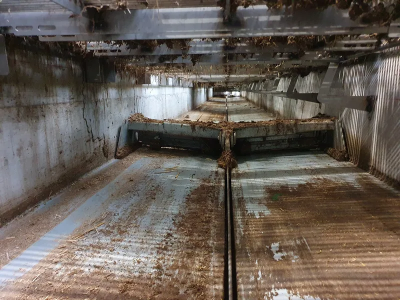 Das sorgt für glückliche Schweine durch bessere Luft im Stall