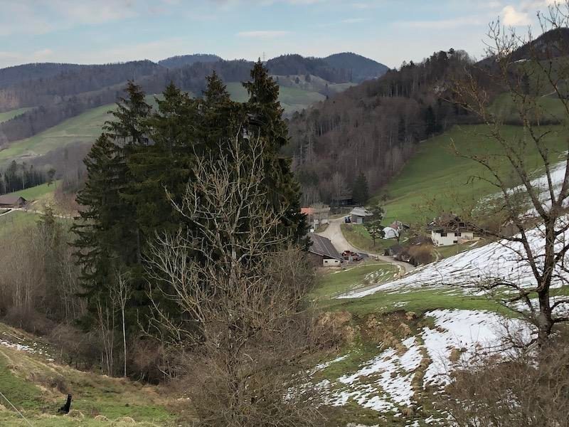 Hennen brüten lassen: Bei der Naturbrut lernen die Bibeli viel von der Glucke