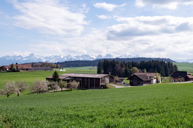 «Macht es, wenn ihr es machen möchtet», rät Nina Gertsch anderen jungen Frauen mit dem Berufswunsch Landwirtin