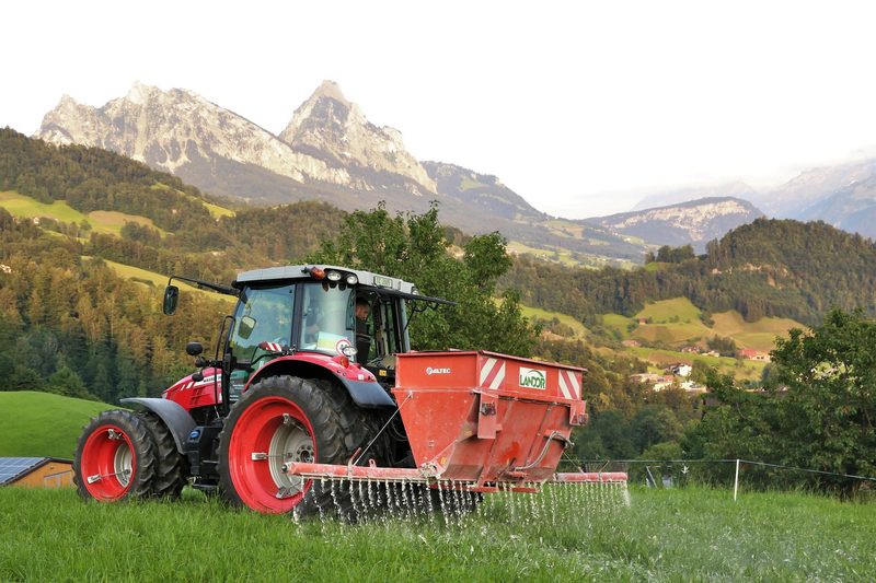 Die gefürchtete Hirse ist wieder im Anmarsch
