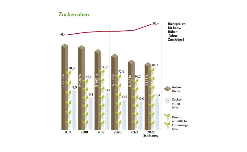 Höhere Erträge und höhere Preise bei Kartoffeln, Körnermais und Zuckerrüben