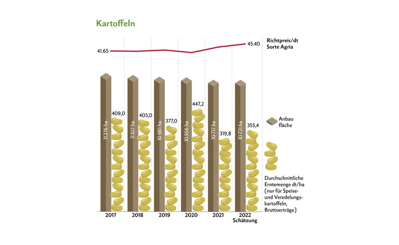 Höhere Erträge und höhere Preise bei Kartoffeln, Körnermais und Zuckerrüben