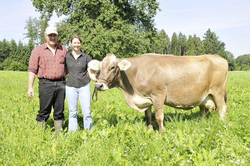 Braunvieh knackt erneut die 7300-Kilo-Marke