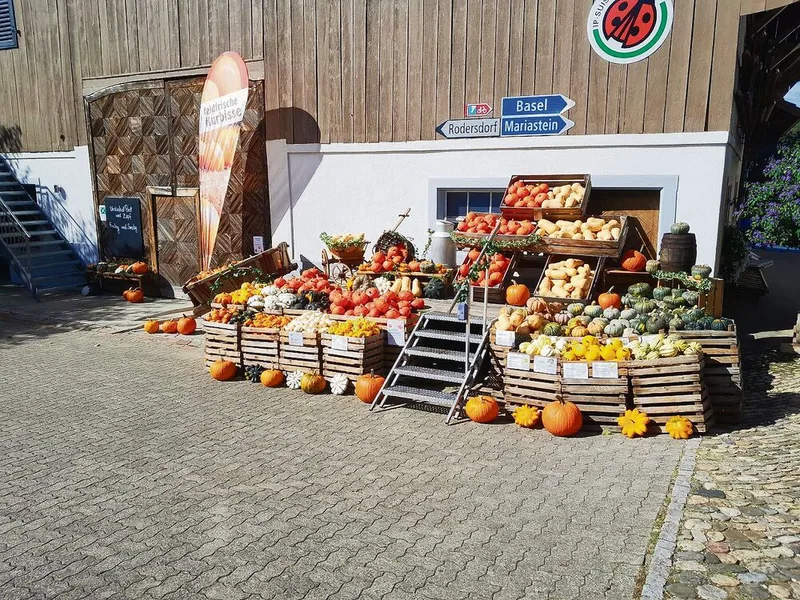Die Kürbisausstellung gilt inzwischen als Wahrzeichen des Brunnenhofs und lockt jeden Herbst Besucher(innen) aus der ganzen Region an.