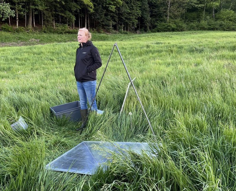 Flurbegehung im Thal: «Im Dinkel Hände weg von Hühnermist»