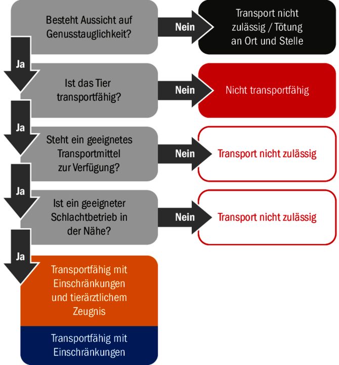 «Ja» oder «Nein» entscheiden über das weitere Vorgehen, soll ein Tier geschlachtet werden.