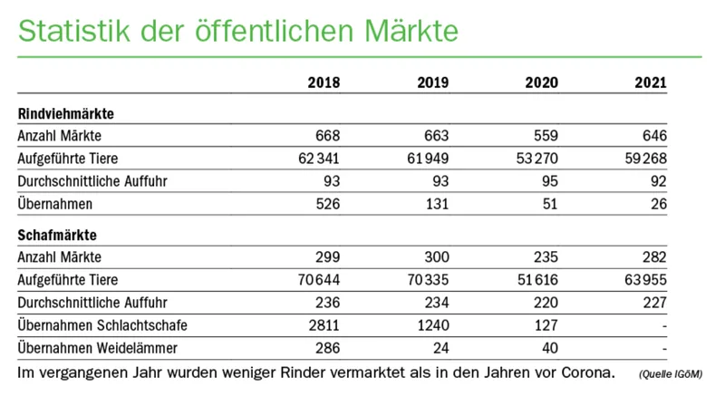 Neuer Leitfaden zum Tiertransport stellt die Branche vor Herausforderungen