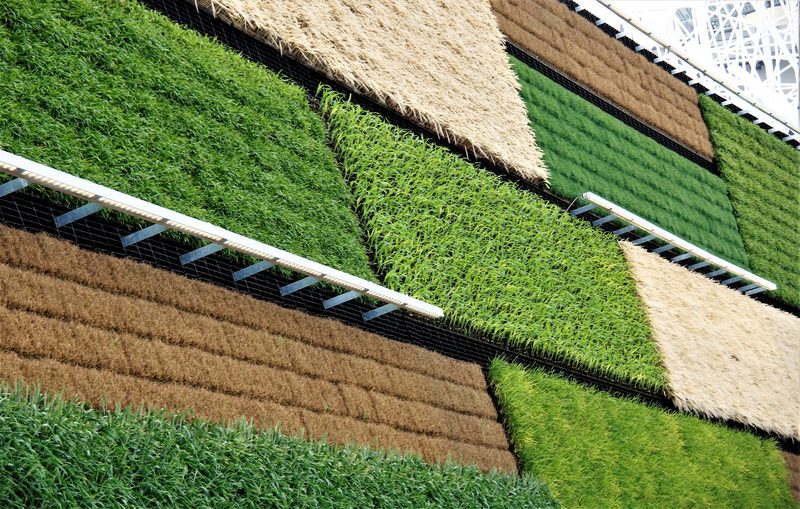 Führt Vertical Farming nun endlich zum Erfolg?