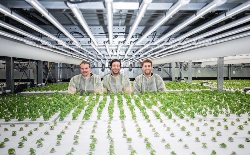 Führt Vertical Farming nun endlich zum Erfolg?