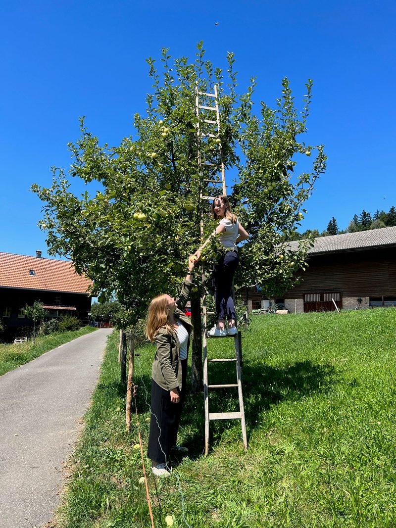 Anpacken haben die Regierungsrätinnen Laura und Valérie Dittli auf dem Bauernhof gelernt