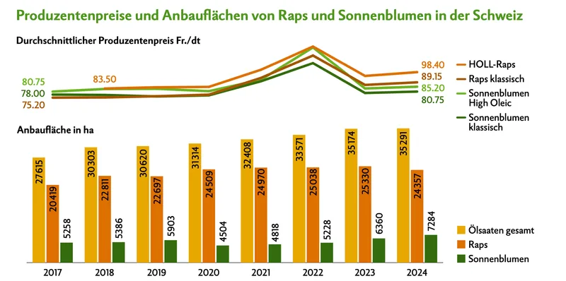 Sonnenblumen als robuste Alternative für die Zukunft