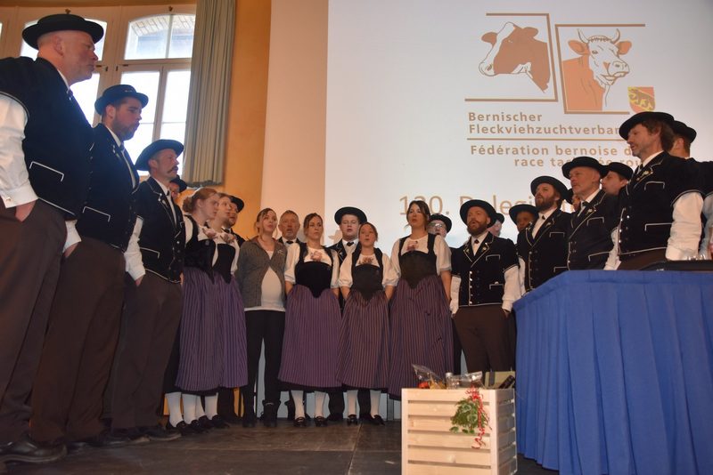 Bernischer Fleckviehzuchtverband: Debatte wegen den C-Tieren beim Swiss Fleckvieh