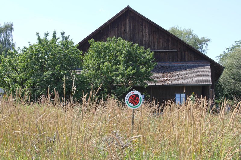 Die Blumenexperten von der Freihof-Farm haben Anbau und Vermarktung perfektioniert