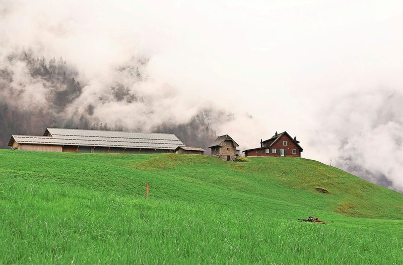 Auf 715 m ü. M. oberhalb des Engelbergertals liegt der Biohof Leimi der Familie Vreni und Willi Ambauen.