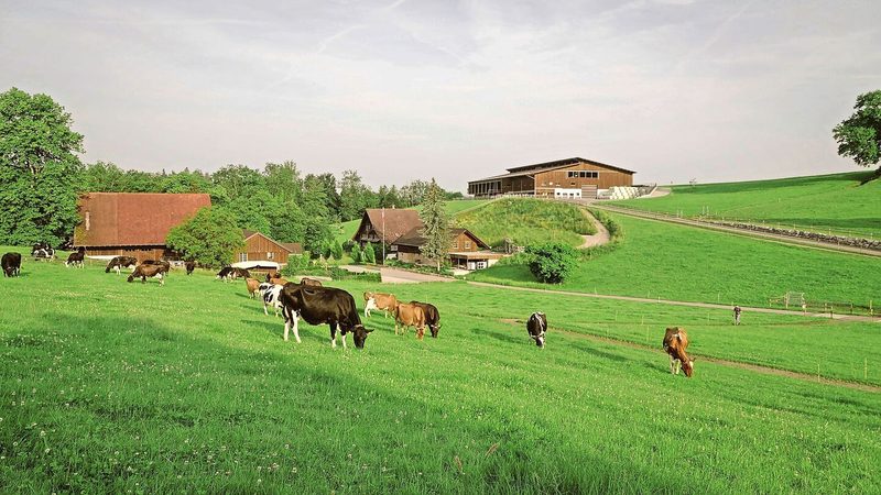 Ernst Brunners neugebauter und voll automatisierter Stall wurde 2022 fertig. Er thront 20 Höhenmeter entfernt vom Wohnhaus und den übrigen Betriebsgebäuden.