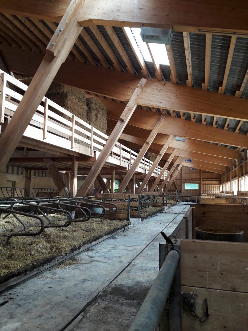 Am Hinterwälder-Züchterausflug nach Graubünden gab es Neues und Traditionelles zu sehen