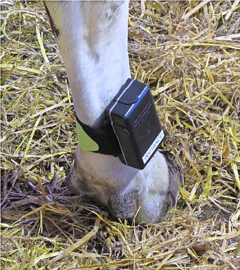 Pedometer