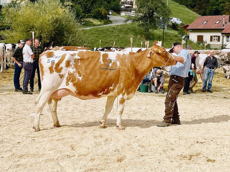 Gleich zwei Titel für die Blooming-Tochter Bonita