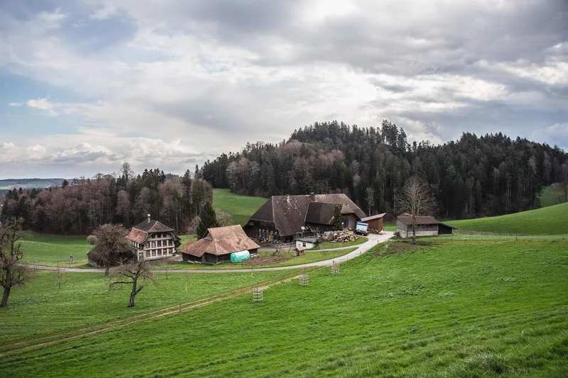 Sicht vom Hügel hinunter auf den Betrieb der Familie Leuenberger.