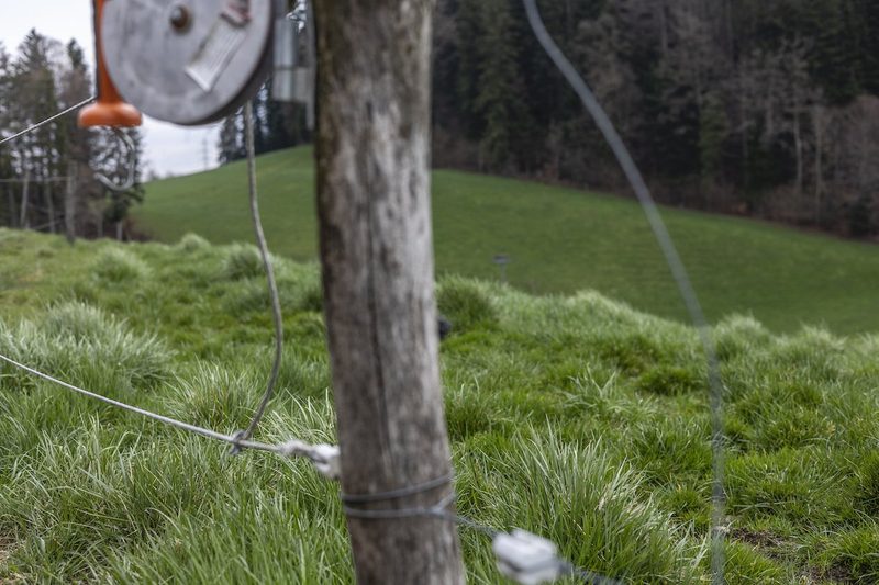 Im Vordergrund ist ein Zaunpfahl zu sehen, an dem Draht befestigt ist. Der Fokus liegt allerdings auf dem saftig-grünen Gras, das im Hintergrund auf der Weide wächst.