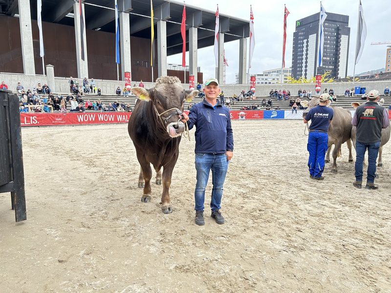 Vierrassen-Eliteschau in der Olma-Arena: Auch Walliserinnen durften antreten