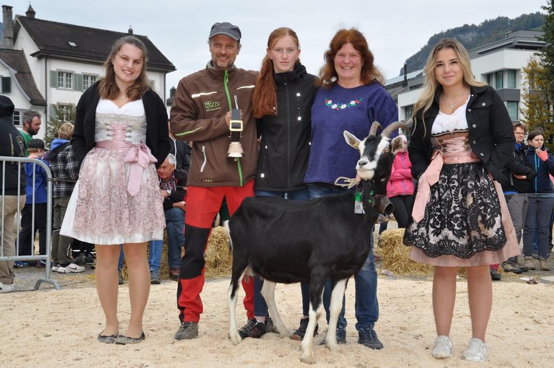 Titelverteidigerin Peggy-Sue ist erneut Miss Glaris