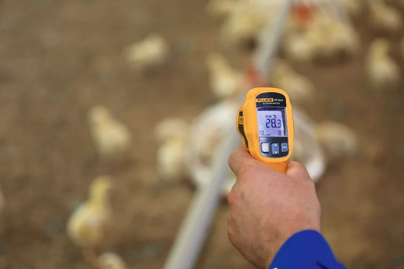 Eine Hand hält einen Thermometer, der die Stalltemperatur misst.