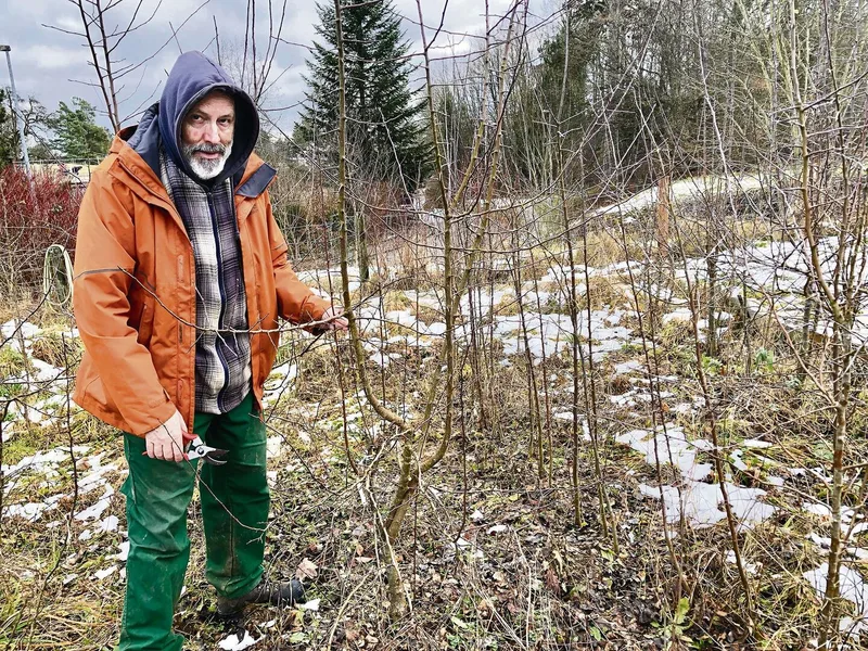 Durch Pfropfen vermehrt Bernhard Egli in seinem Garten in Schaffhausen Wildäpfel und -birnen. Er will verhindern, dass diese Arten für immer verschwinden.