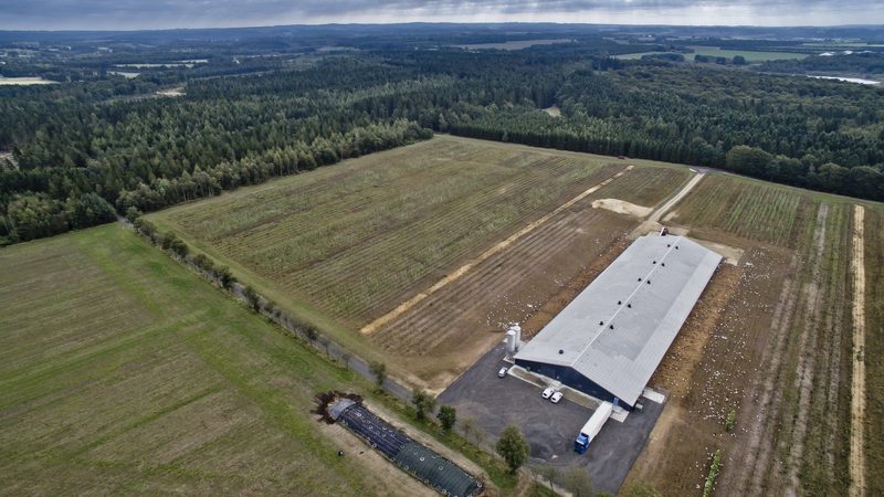 230'000 Legehennen und dennoch Bio – das funktioniert auf dem Betrieb von Axel Mansson
