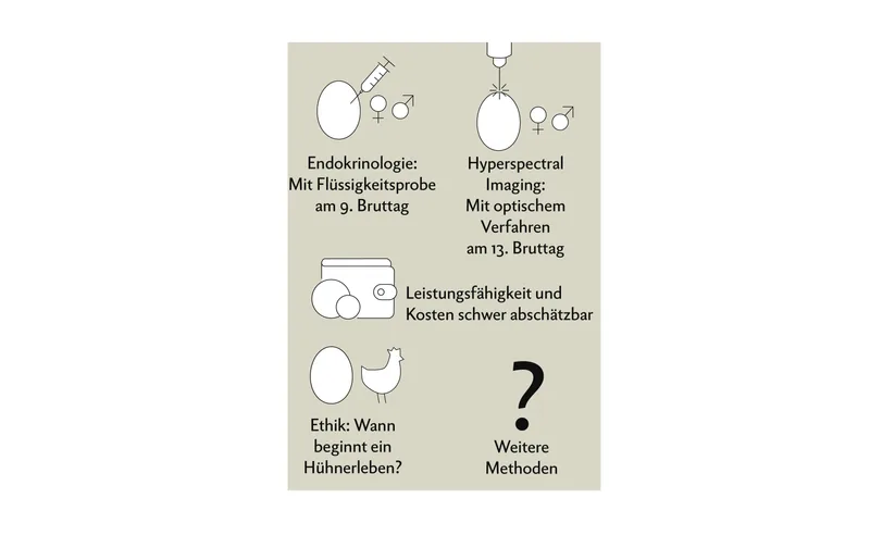 Geschlechtserkennung im Ei in ovo