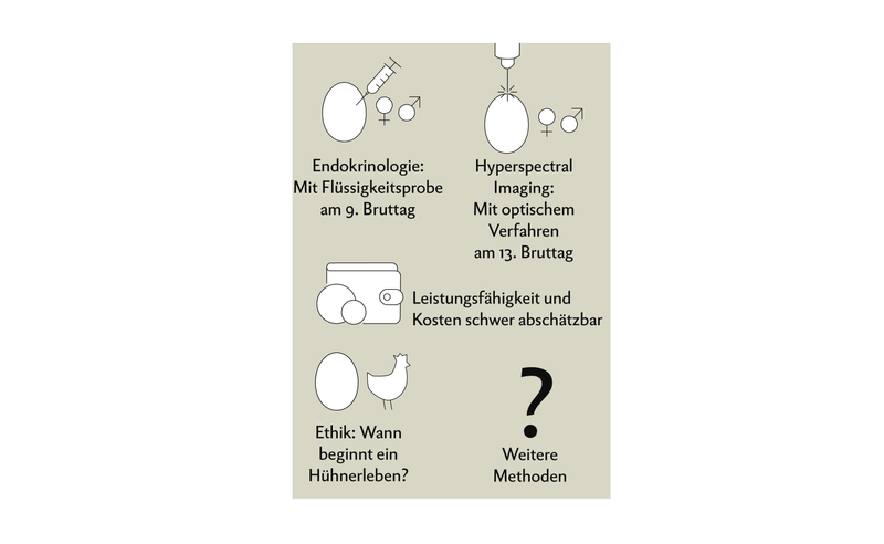 Geschlechtserkennung im Ei in ovo