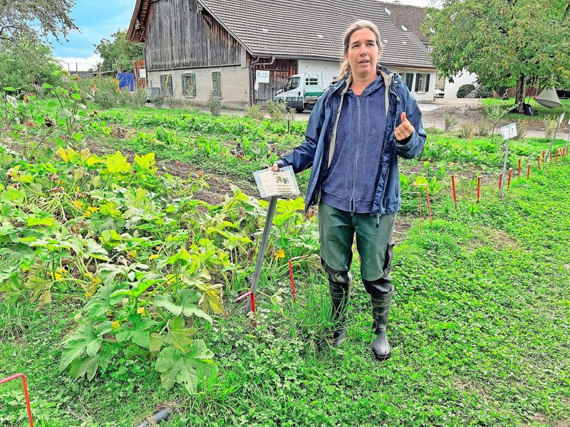 Jeannine von Puijenbroek steht vor dem Zucchettibeet. Neben ihr auf einem Holzpflock die Beetbeschriftung für die Mitglieder.