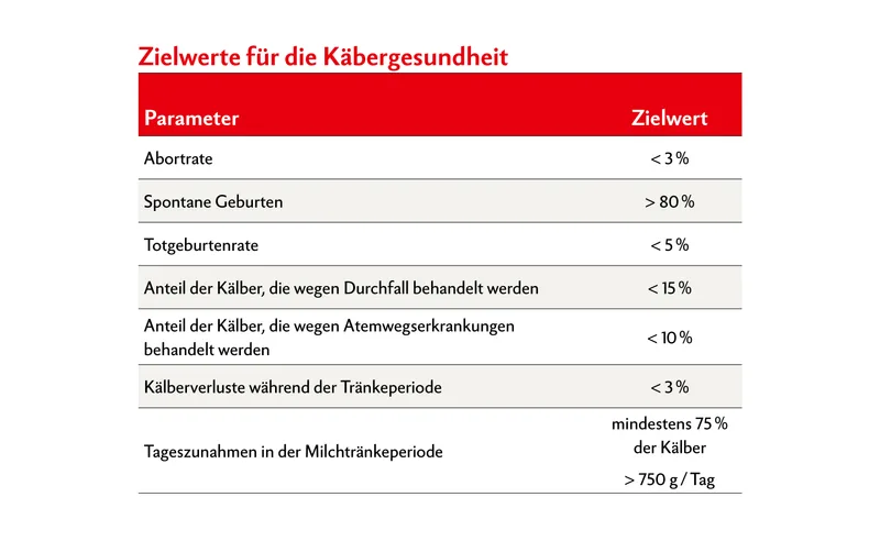 Kontinuierlich Daten erheben für eine bessere Kälbergesundheit