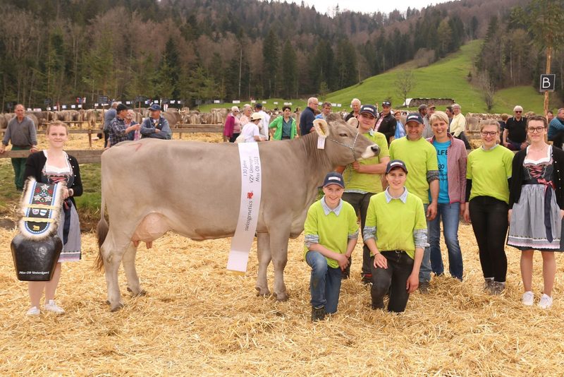 Züchterfest in Unterägeri