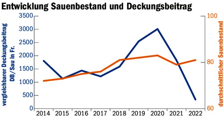 Der Bestand stieg 2022 im Durchschnitt auf 81 Sauen pro Betrieb. Der Deckungsbeitrag sank auf Fr. 343.–.