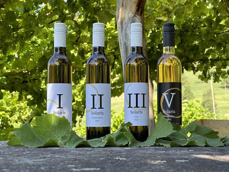 Mit viel Herzblut und Experimentierfreude zur eigenen Weinkellerei