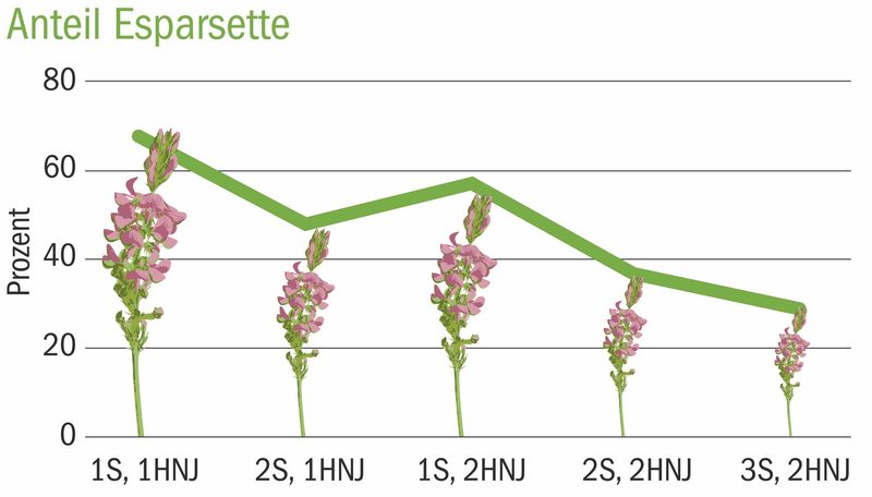 Esparsette – eine interessante Leguminose für trockene Jahre
